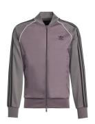 Adidas Originals Sst Tt Lila