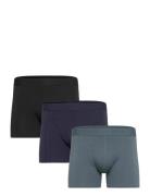 Claudio Claudio 3-Pack Tights Svart