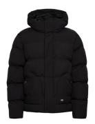 Dickies M Eagleville Hooded Puffer Svart