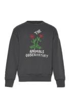 THE ANIMALS OBSERVATORY Flowers Dark Frey Bear Sweatshirt Grå