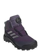 Adidas Terrex Terrex Winter Mid Boa R.rdy K Lila