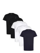 Claudio Claudio 5-Pack T-Shirt Cotton Svart