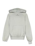 THE ANIMALS OBSERVATORY Flowers Blue Beaver Hoodie Blå