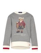 Ralph Lauren Kids Graphic Fleece-Knt-Sweatshirt Grå
