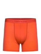 Icebreaker M Anatomica Boxers Orange