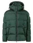 BOGNER Jamy-D2 Grön