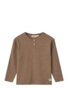Wheat T-Shirt L/S Morris Brun