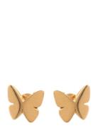 Edblad Papillon Studs Gold Guld