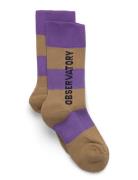 THE ANIMALS OBSERVATORY Purple Worm Socks Lila