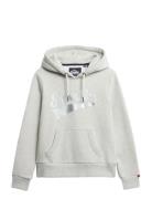 Superdry Super Athletics Hood Grå