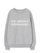 THE ANIMALS OBSERVATORY Frey Leo Sweatshirt Grå