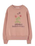 THE ANIMALS OBSERVATORY Flowers Dusty  Bear Sweatshirt Rosa