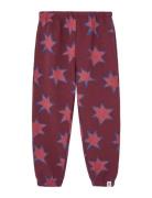 THE ANIMALS OBSERVATORY Stars Dromedary Sweatpants Burgundy