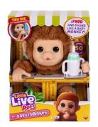 Little Live Pets Little Live Pets My Baby Monkey Brun