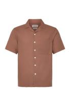 Solid Sdallan Cuba Brun