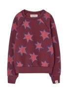 THE ANIMALS OBSERVATORY Stars Shark Sweatshirt Burgundy