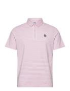 Original Penguin Golf Heritage Stripe Polo Rosa