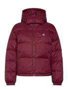 Calvin Klein Jeans Essential Midweight Puffer Jacke Burgundy