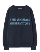 THE ANIMALS OBSERVATORY Navy Leo Sweatshirt Marinblå