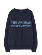 THE ANIMALS OBSERVATORY Navy Leo Sweatshirt Marinblå