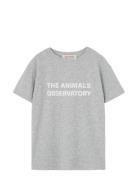 THE ANIMALS OBSERVATORY Frey Orion T-Shirt Grå