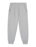THE ANIMALS OBSERVATORY Frey Draco Sweatpants Grå