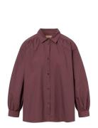Rue De Tokyo Sloan Organic Garment Dyed Poplin Burgundy