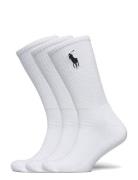 Polo Ralph Lauren Big Pony Crew Sock 3-Pack Vit