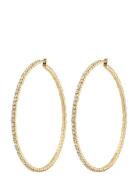 Pilgrim Sidney Crystal Hoop Earrings Gold-Plated Guld