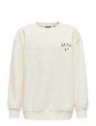 ONLY & SONS Osjkyrie Over Ls Swt Noos Kräm