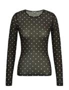 MbyM Aracelia-M Brun