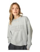 MOS MOSH Mmrenzi O-Ls Sweatshirt Grå