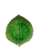 Costa Nova Bladfad Hydrangea S Grön