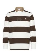Polo Ralph Lauren Classic Fit Khaki-Collar Rugby Shirt Brun