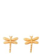 Timi Of Sweden Marina - Dragonfly Stud Earrings Stainless Steel Guld