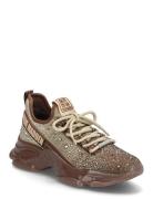 Steve Madden Mistica Brun