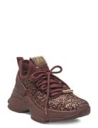 Steve Madden Maxilla-G Brun
