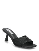 Steve Madden Ivie-Mr Svart