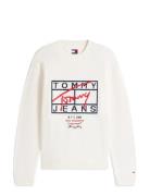Tommy Jeans Tjm Reg Signature Sweater Ext Vit
